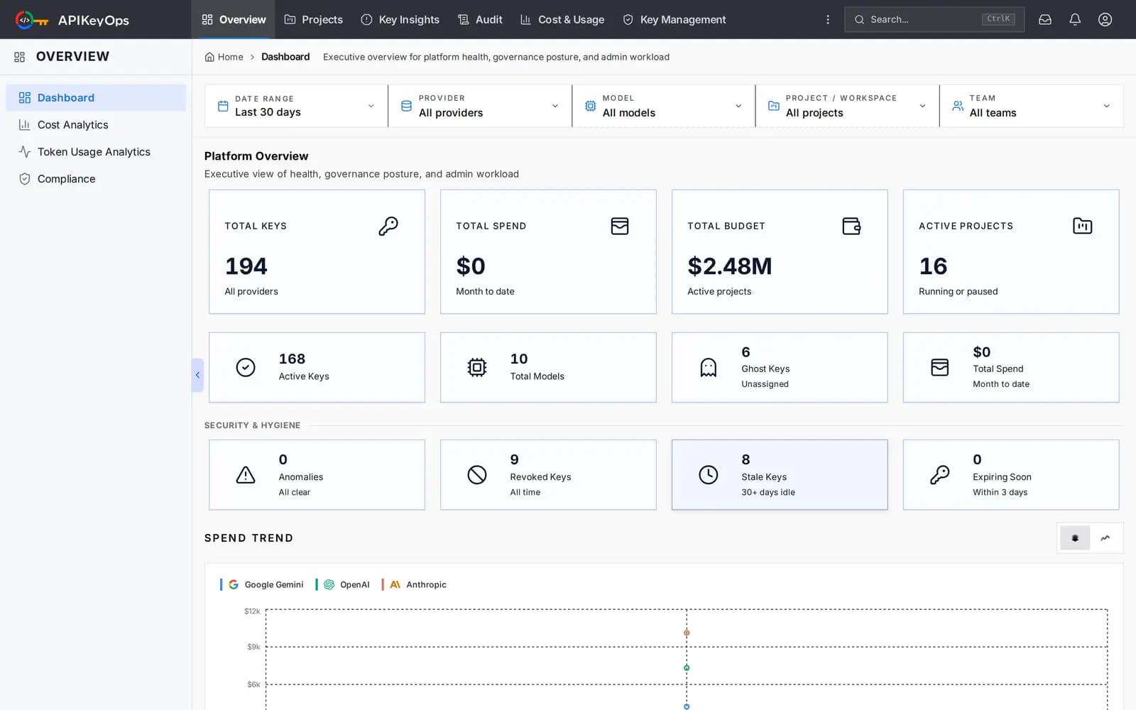 APIKeyOps live platform overview showing AI key inventory, governance posture, active projects, and security hygiene